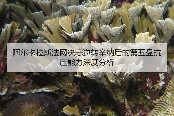 阿尔卡拉斯法网决赛逆转辛纳后的第五盘抗压能力深度分析